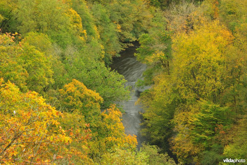 Vallei van de Ourthe