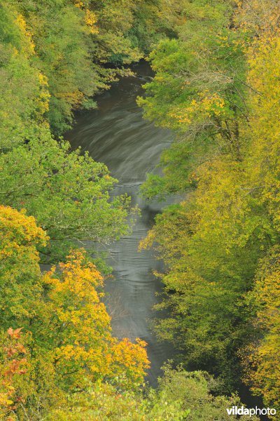 Vallei van de Ourthe