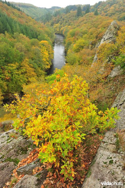 Vallei van de Ourthe