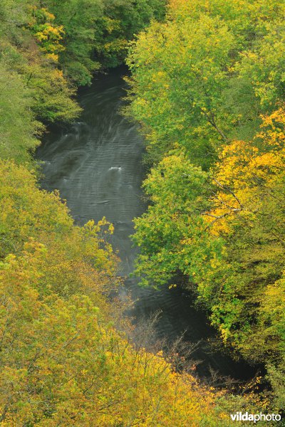 Vallei van de Ourthe