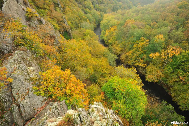 Vallei van de Ourthe