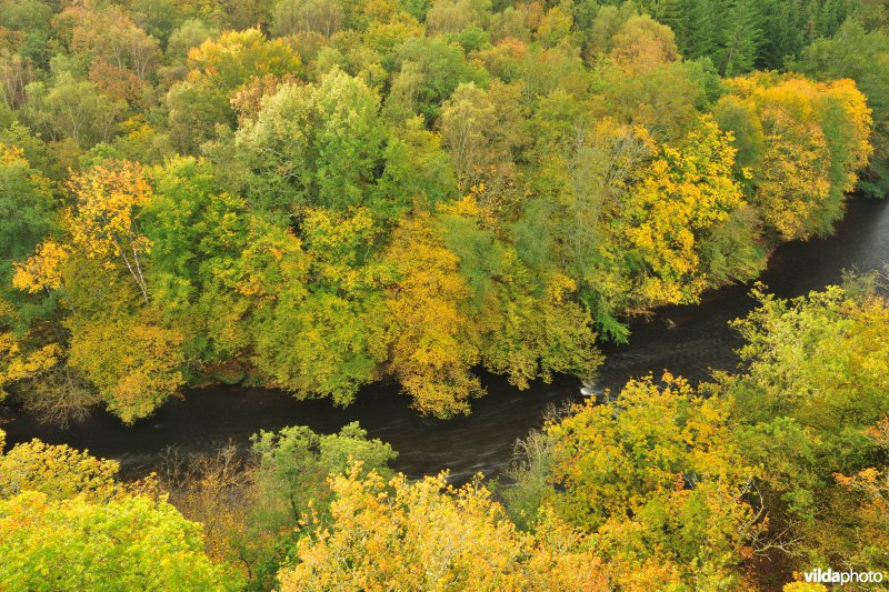 Vallei van de Ourthe