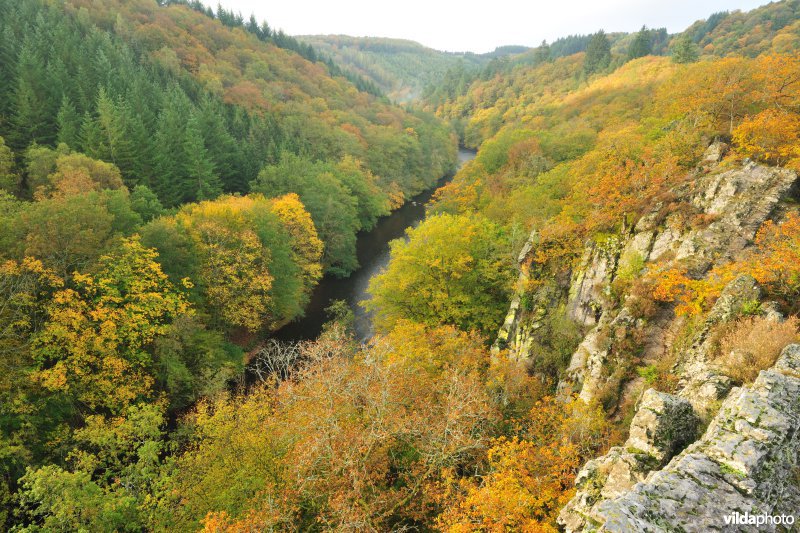 Vallei van de Ourthe