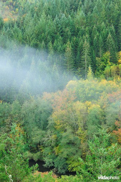 Vallei van de Ourthe