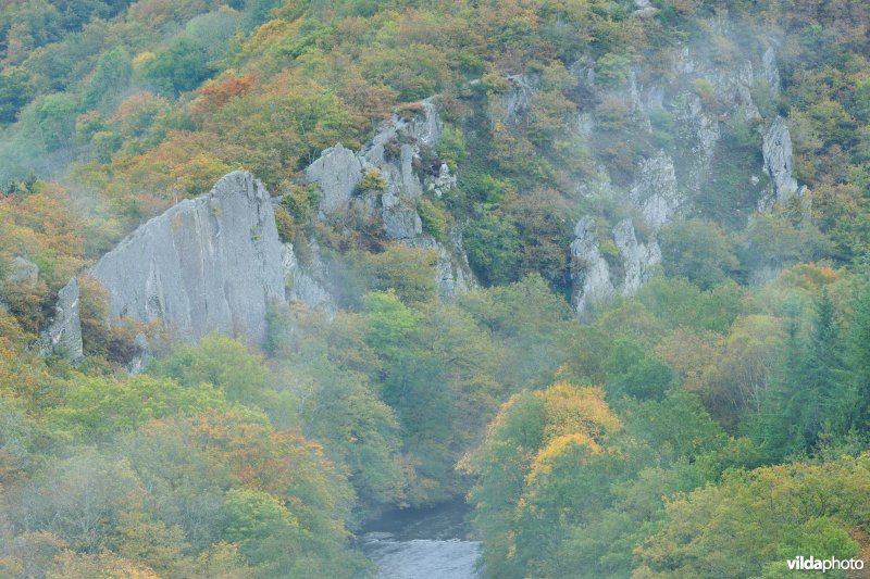 Vallei van de Ourthe