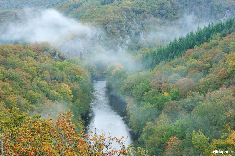 Vallei van de Ourthe