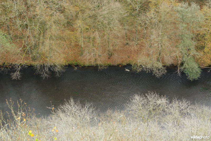 Vallei van de Ourthe