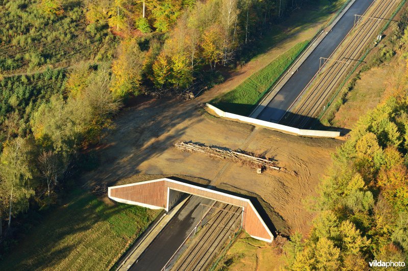 Ecoduct in het Zoniënbos over spoorweg