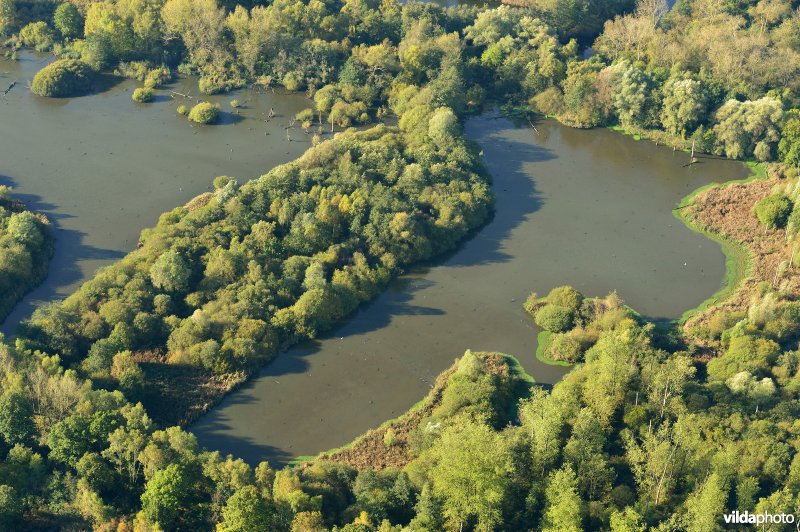 Provinciaal domein Broek De Naeyer