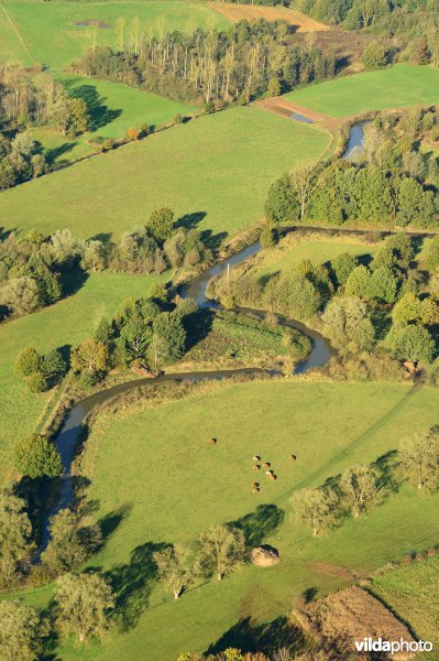 Natuurreservaat de Doode Bemde