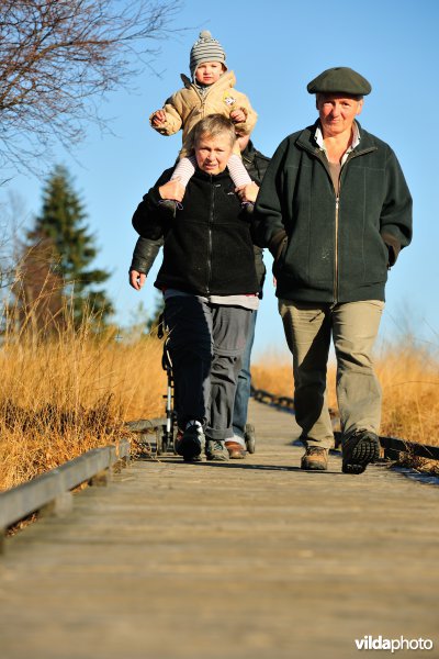 Wandelen in de Hoge Venen