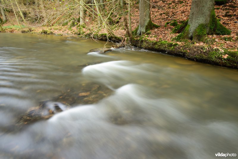 Vallei van de Ourthe