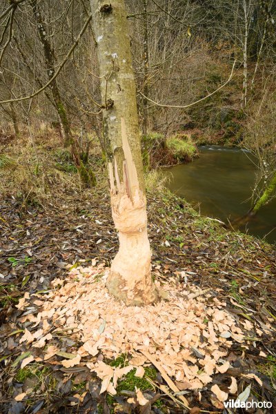 Vallei van de Ourthe