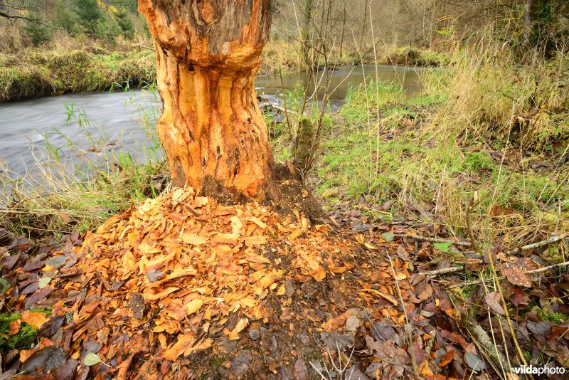 Vallei van de Ourthe