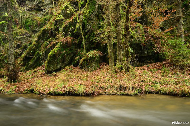 Vallei van de Ourthe
