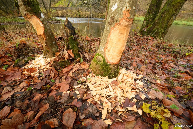 Vallei van de Ourthe