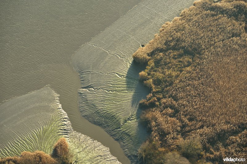 Natuurreservaat Kijkverdriet