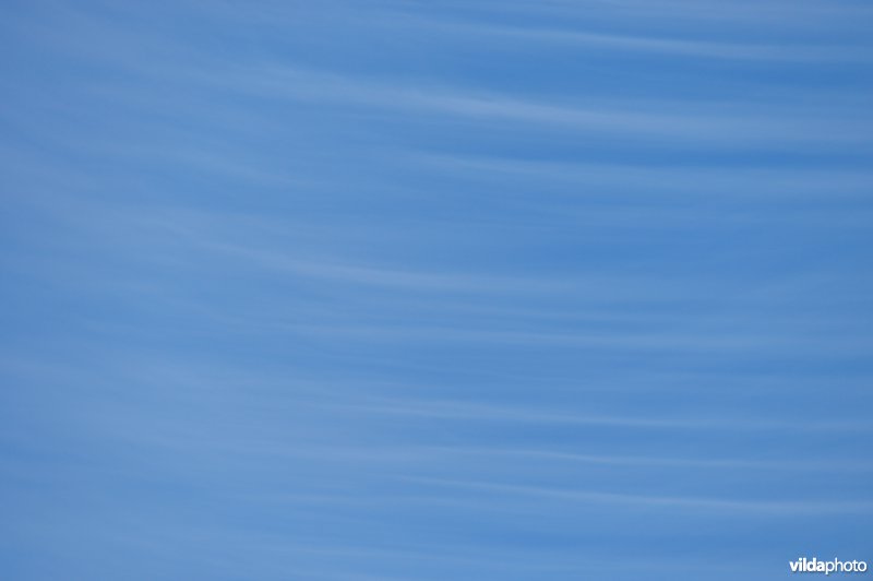 Wolken