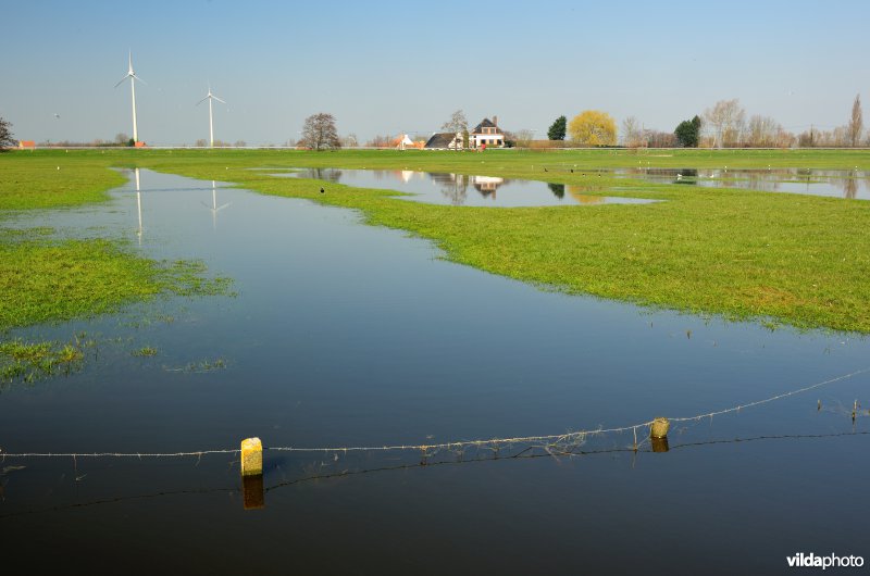 Merkembroeken