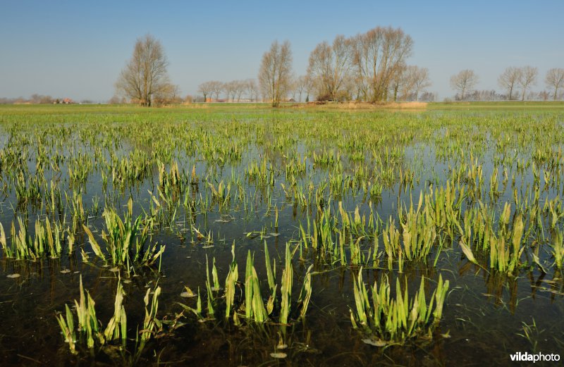 Ijzervallei