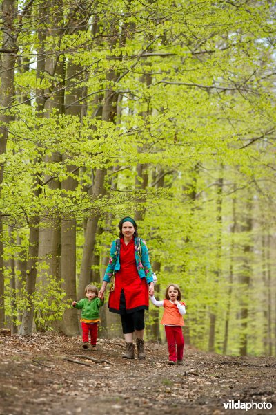 Wandelen in de lente