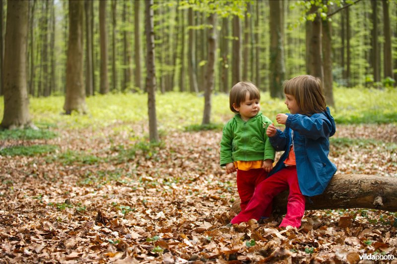 Spelen in het bos