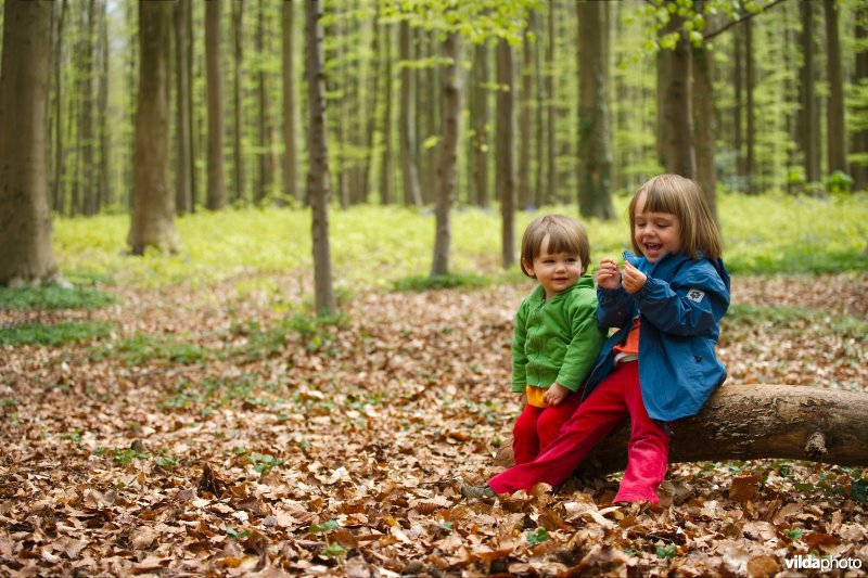 Spelen in het bos