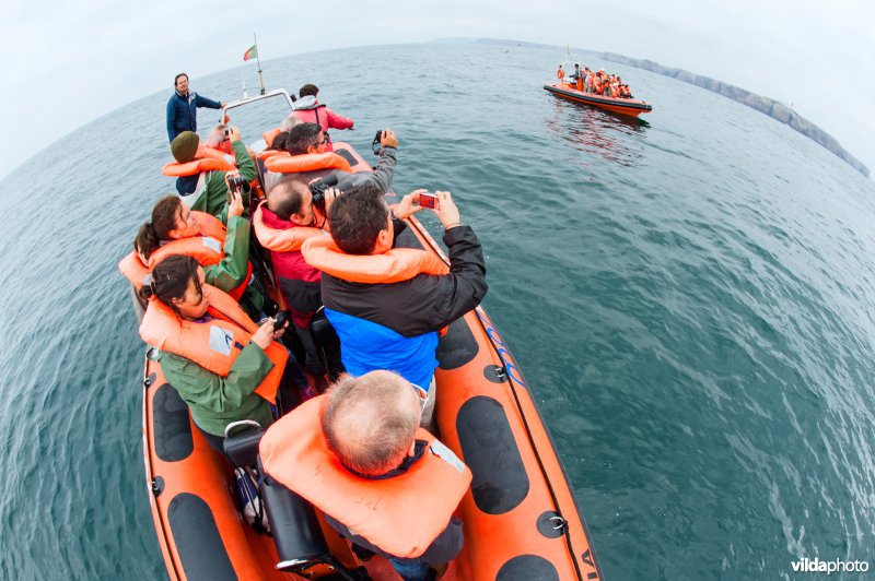 Vogelaars in een RIB (rigid inflatable boat) op de atlantische oceaan voor de kust van Sagres, Portugal