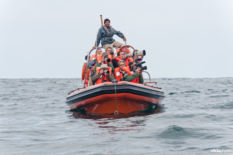 Vogelaars in een RIB (rigid inflatable boat) op de atlantische oceaan voor de kust van Sagres, Portugal
