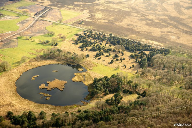 Dwingelderveld