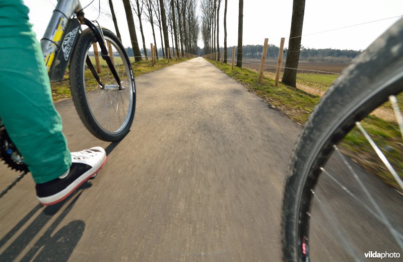 Fietsen op de Koningsdijk