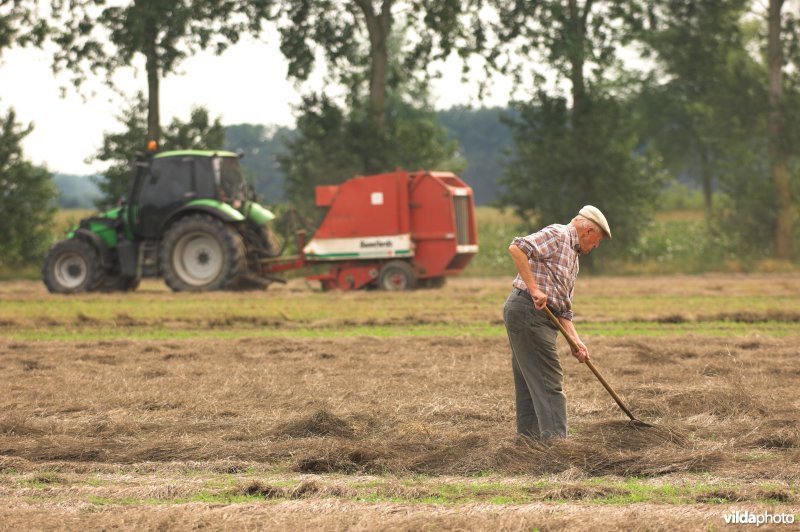 Vlasteler en tractor