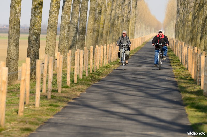 Fietsen op de Koningsdijk