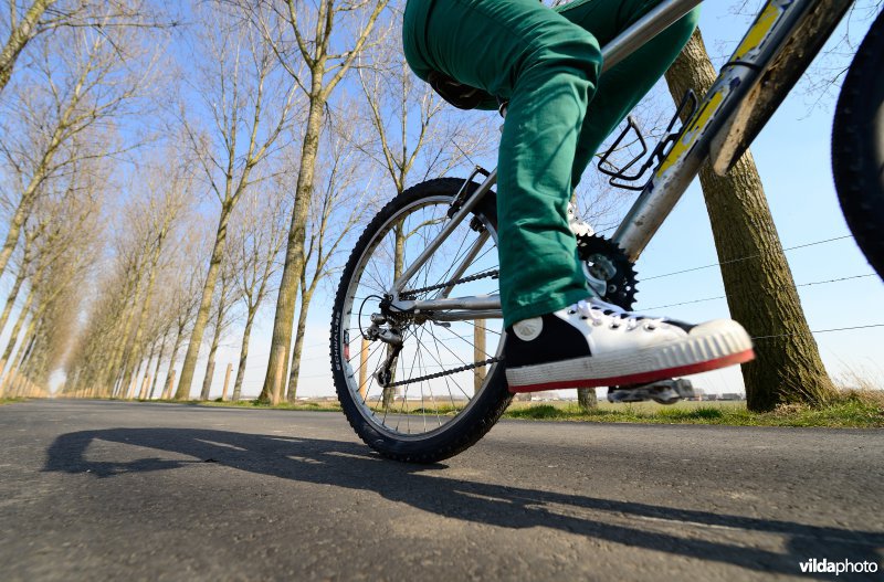 Fietsen op de Koningsdijk