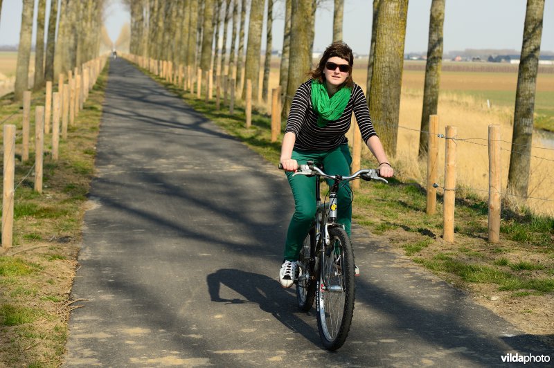 Fietsen op de Koningsdijk