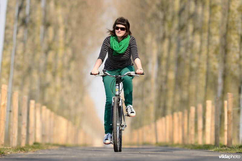 Fietsen op de Koningsdijk