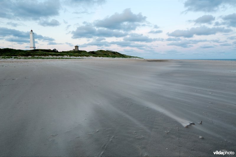 Rondwaaiend zand op het strand