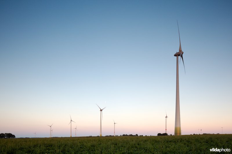 Windturbines bij zonsondergang