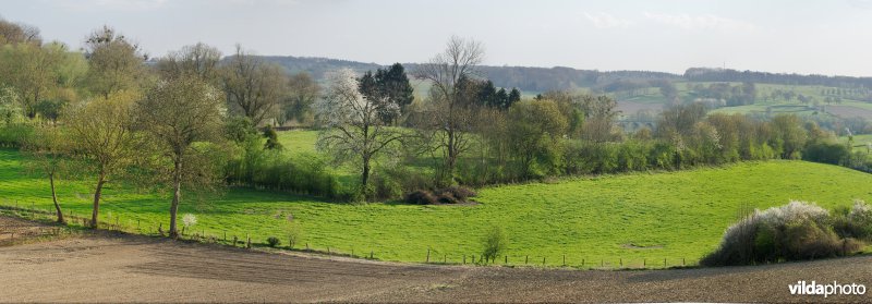 Haagjes in een bocagelandschap