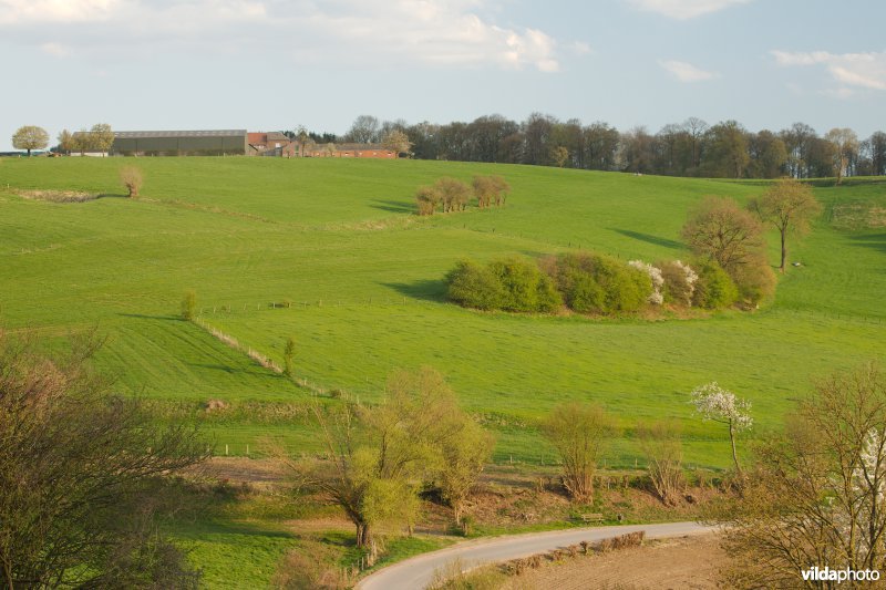 Restanten van een bocagelandschap