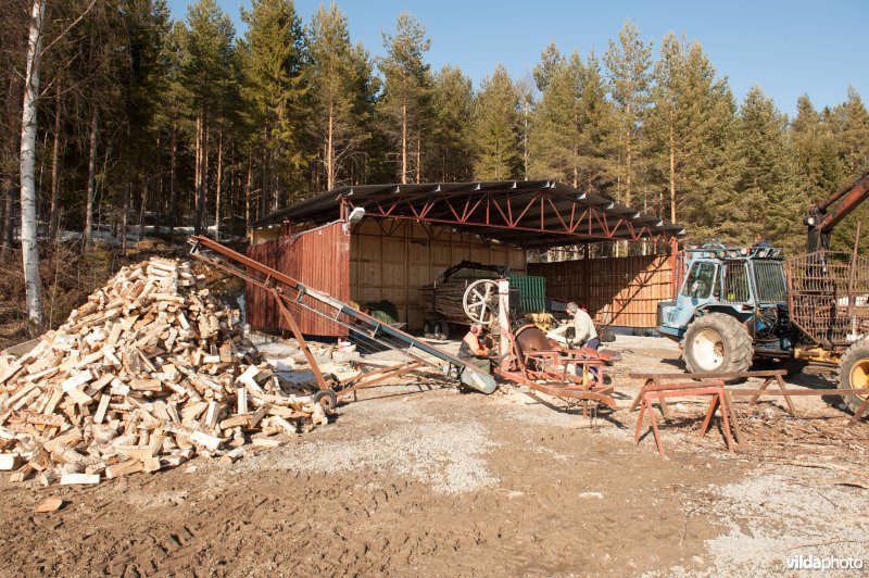 Gunnar en Ingmar zagen hout met een historische machine waarmee een heel dorp van brandhout voorzien wordt. De machine zaagt en klooft, met een transportband wordt het hout op een hoop of wagen gestort.