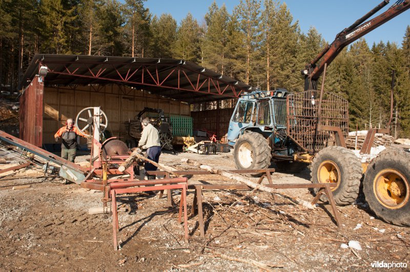 Gunnar en Ingmar zagen hout met een historische machine waarmee een heel dorp van brandhout voorzien wordt. De machine zaagt en klooft, met een transportband wordt het hout op een hoop of wagen gestort.
