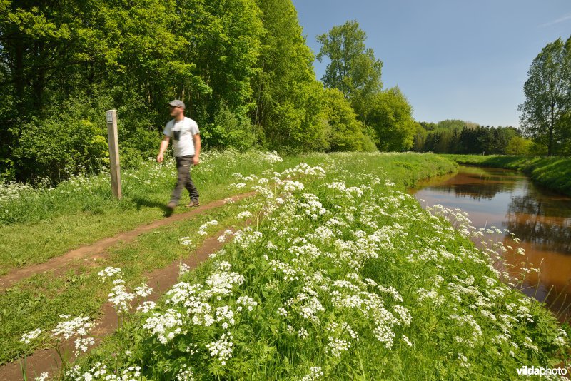 Wandelen langs de Grote Nete