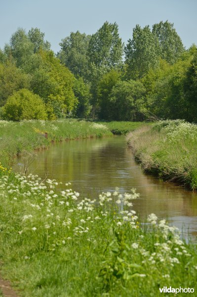 Grote Nete