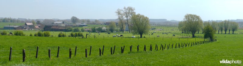 Landbouwbeeld uit het Pajottenland