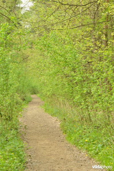 Het Cruysveld