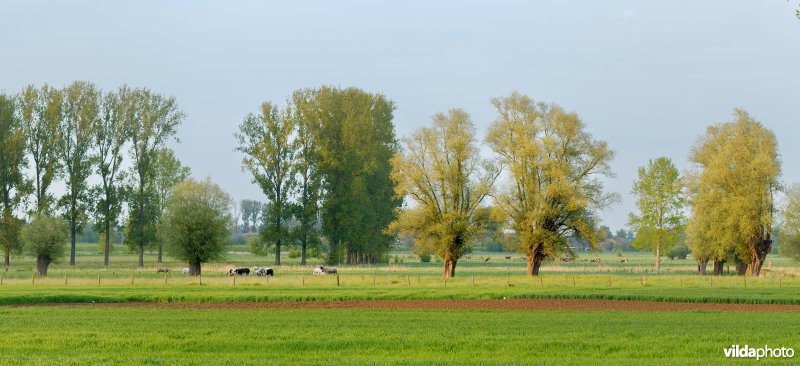 Coulissenlandschap in de Getevallei