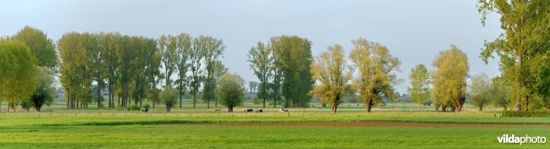 Coulissenlandschap in de Getevallei