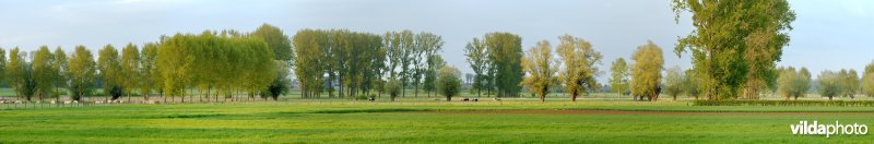 Coulissenlandschap in de Getevallei