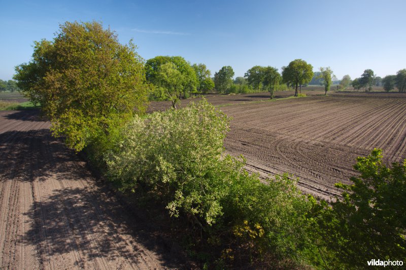 Limburgs bocagelandschap